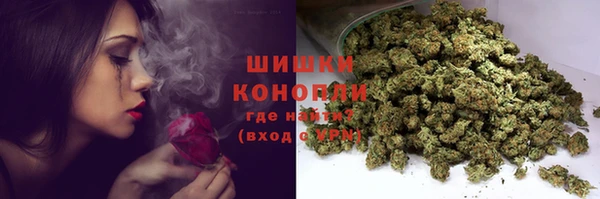 хмурый Пестово