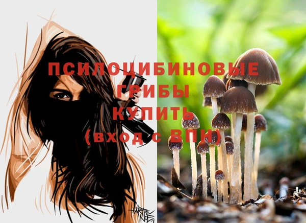 меф Заречный