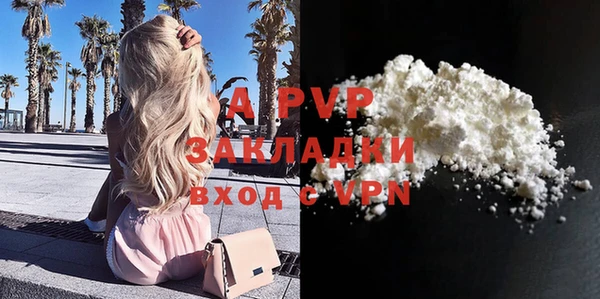 a pvp Пересвет