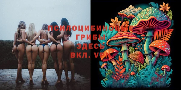 спиды Покачи