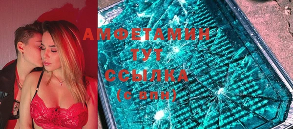 a pvp Пересвет