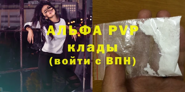 хмурый Пестово