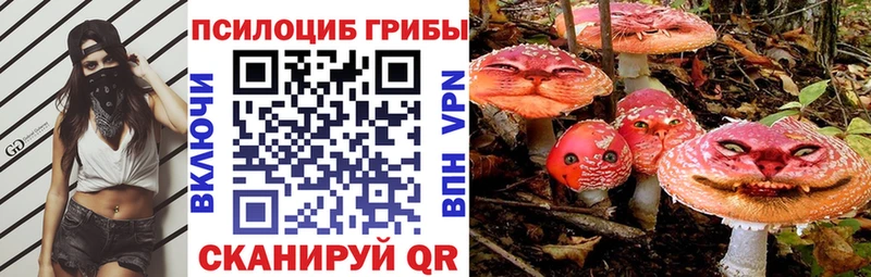 Псилоцибиновые грибы MAGIC MUSHROOMS  KRAKEN   сайты даркнета как зайти  Шарыпово 
