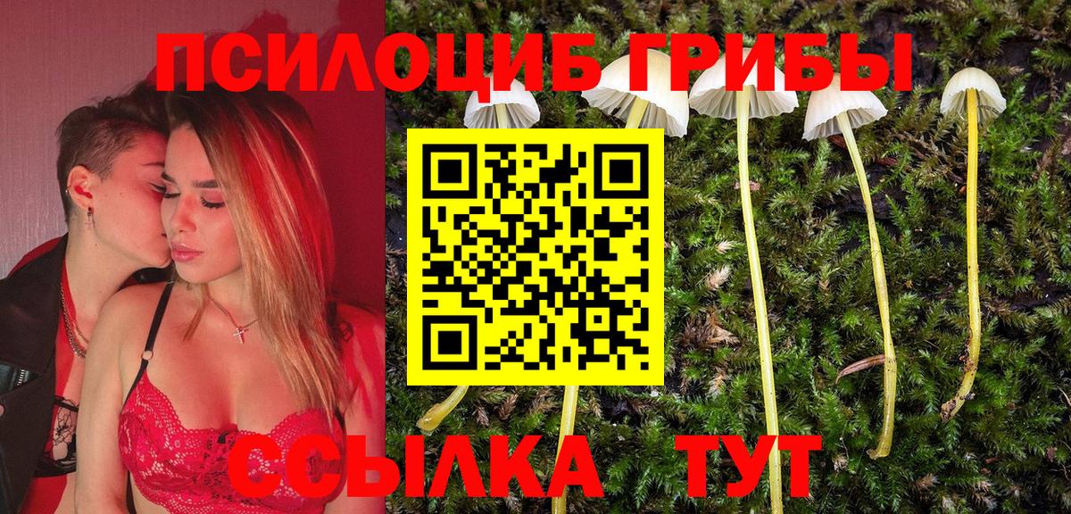 Галлюциногенные грибы Magic Shrooms Шарыпово